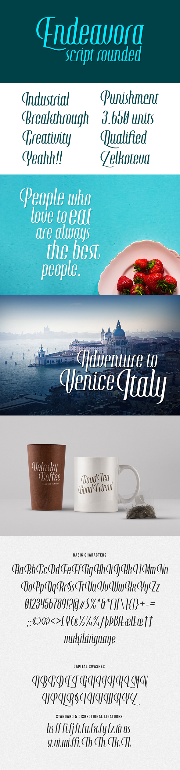 Endeavora Script Rounded - Cursive Script