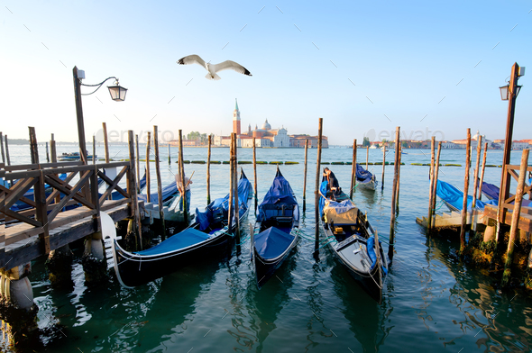 Gondolas and a seagull - Stock Photo - Images