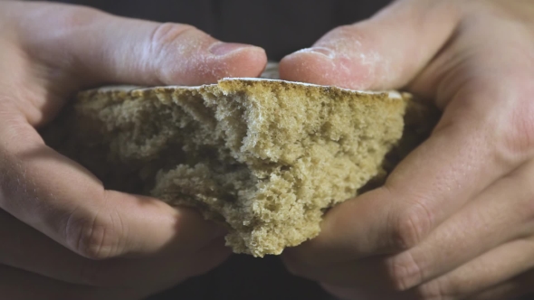 Baker Hands Breaking Homemade Bread.  View