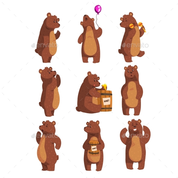 Forest Animal Bear Cartoon - Animals Characters