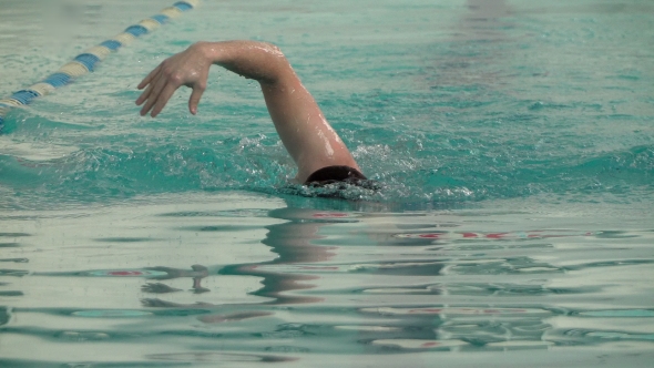 Male Athlete Swims in the Pool alt