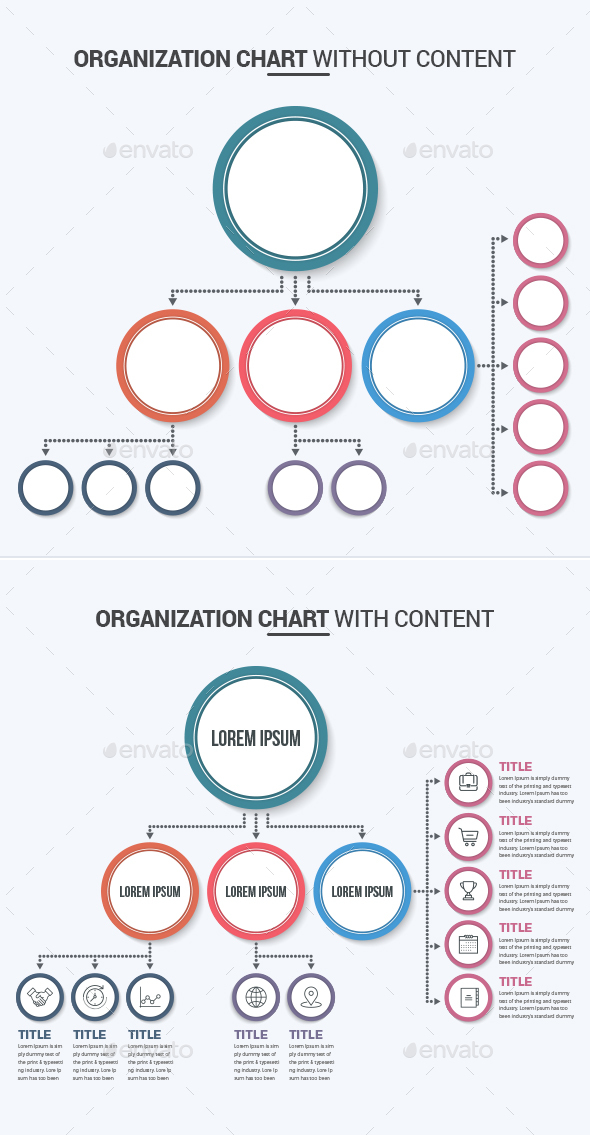 Organization Chart - Infographics