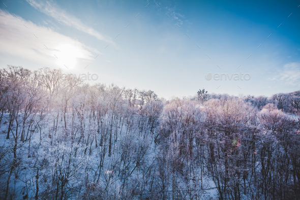 Frosty winter landscape in snowy forest - Stock Photo - Images