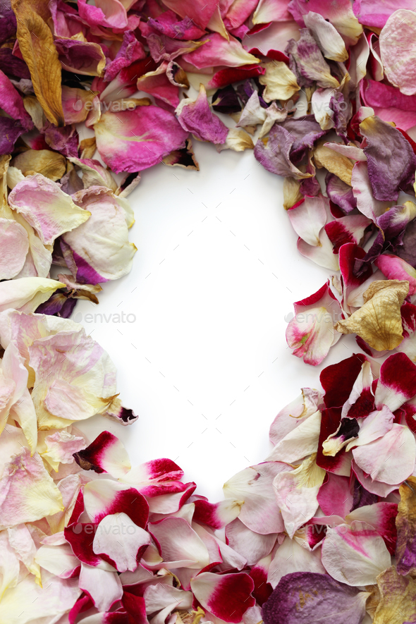 frame of homemade dried rose petals Stock Photo by motghnit PhotoDune