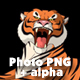 Big Tiger Lies and Growls - VideoHive Item for Sale