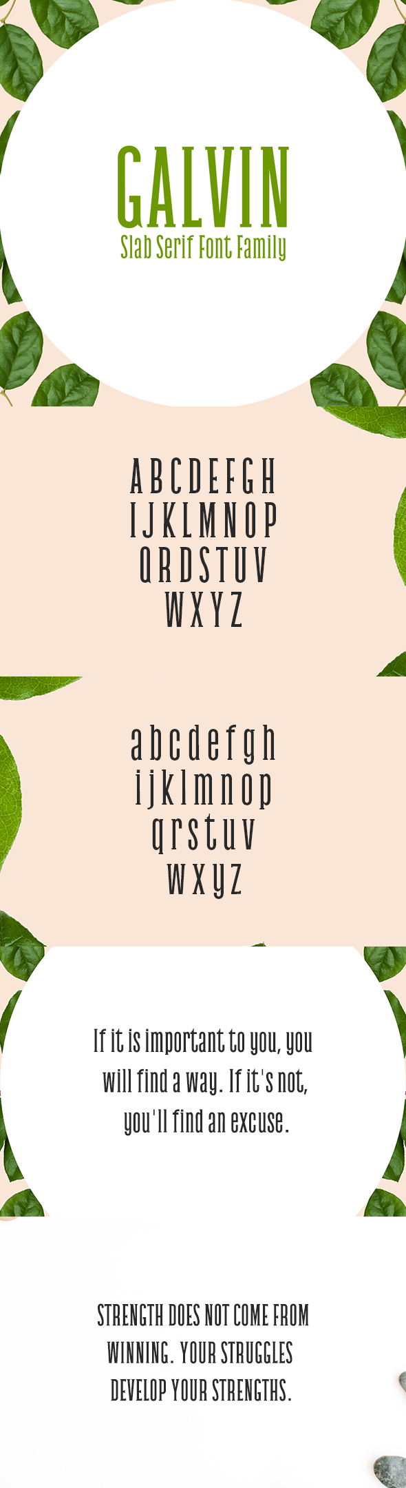 Galvin Slab Serif 5 Font Family Pack - Sans-Serif Fonts
