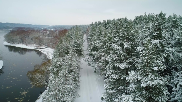 Aerial View of Car Moving in Winter Forest