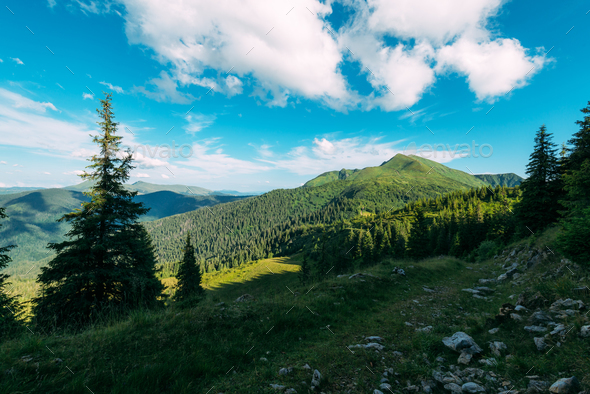 Picturesque summer landscape in sunny day - Stock Photo - Images