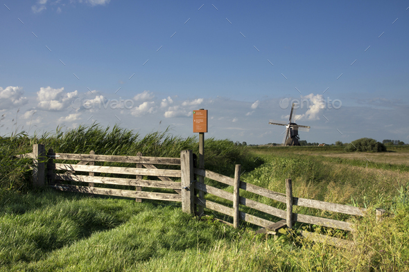 Nature area Donkse Laagten - Stock Photo - Images