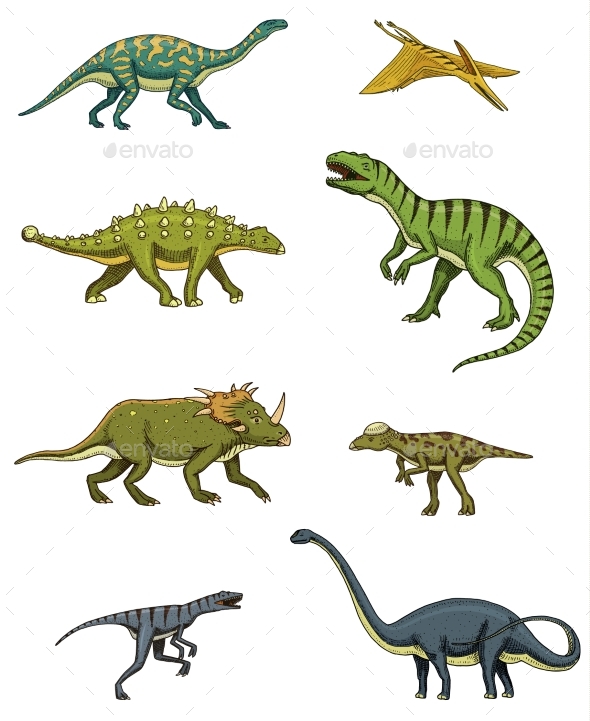 Dinosaurs Set, Triceratops, Barosaurus - Animals Characters