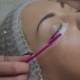 Eyelash Extension Procedure. Woman Eye with Long Eyelashes. - VideoHive Item for Sale