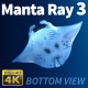 Manta Ray 3 - VideoHive Item for Sale