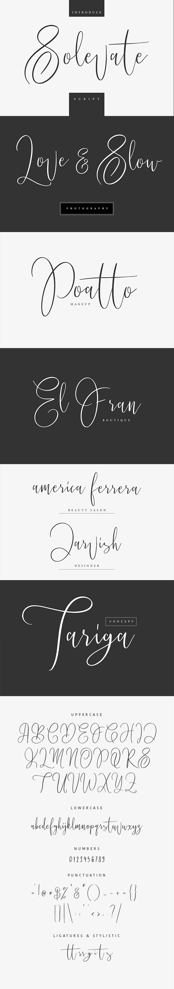 Solevate Typeface - Calligraphy Script