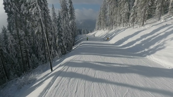 Skiers on the Highway Among White Snowy Pines. Winter Ski Resort. Aerial View alt