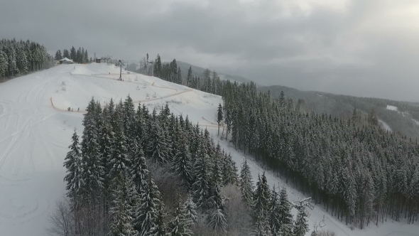 Skiers and Snowboarders Go Down the Slope in a Ski Resort. Winter Forest. Aerial View alt