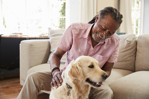 Senior Man Sitting On Sofa At Home With Pet Labrador Dog Stock Photo by monkeybusiness