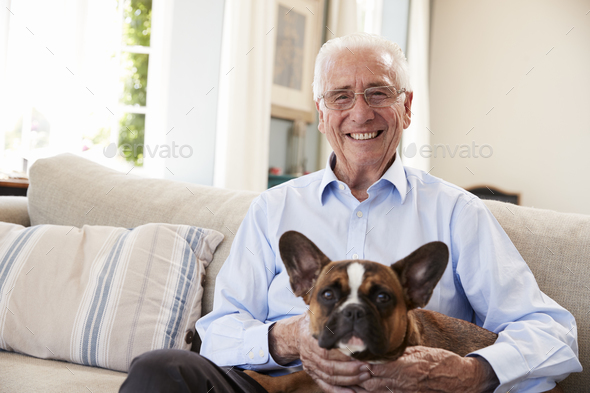 Senior Man Sitting On Sofa At Home With Pet French Bulldog Stock Photo by monkeybusiness