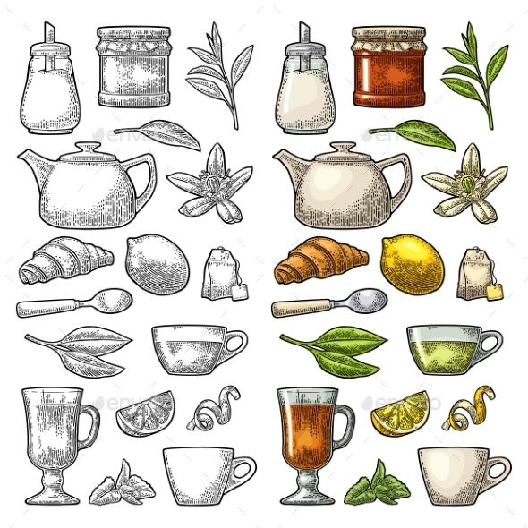 Cup Wit Tea and Branch with Leaves - Food Objects