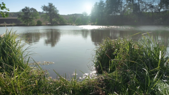 Early Morning on River