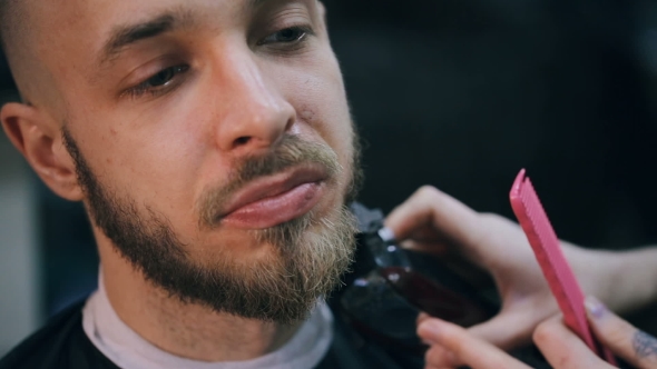 Young Handsome Bearded Man Getting a Haircut in a Modern Barber Shop.