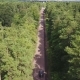 Aerial Shot of Asphalt Road Going through Green Park - VideoHive Item for Sale