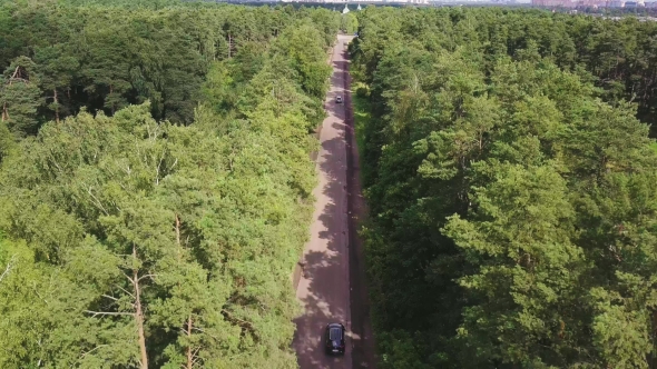 Aerial Shot of Asphalt Road Going through Green Park