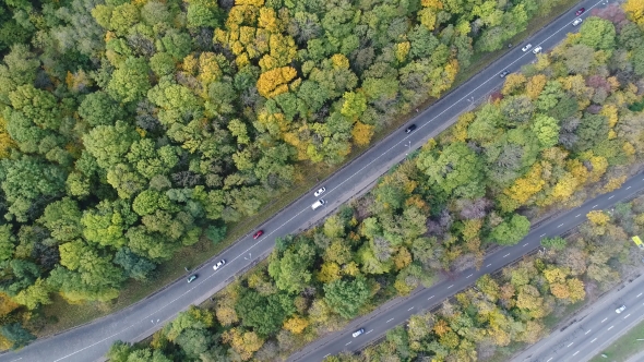 Aerial View of Several Parallel Roads in the Middle of the Park Zone in Autumn