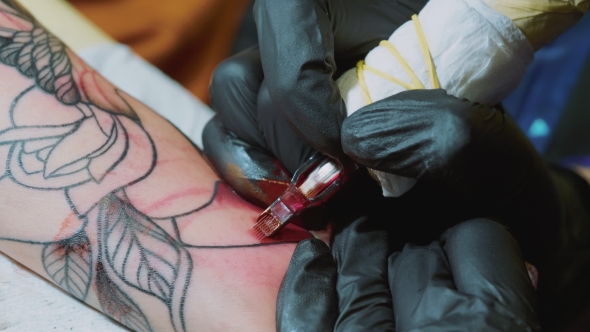 Professional Master Is Painting Tattoo with Red Ink, Fills Drawing with Color. Works in Black Latex alt