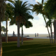 Palm Beach and Sea Palm Beach and Sea - VideoHive Item for Sale