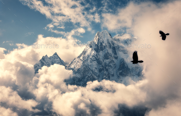 Flying birds against mountain with snowy peak in clouds - Stock Photo - Images