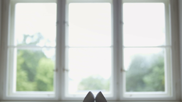 Bride Dresses Wedding Shoes alt