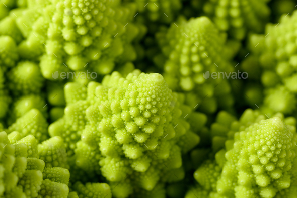Romanesco broccoli - Stock Photo - Images