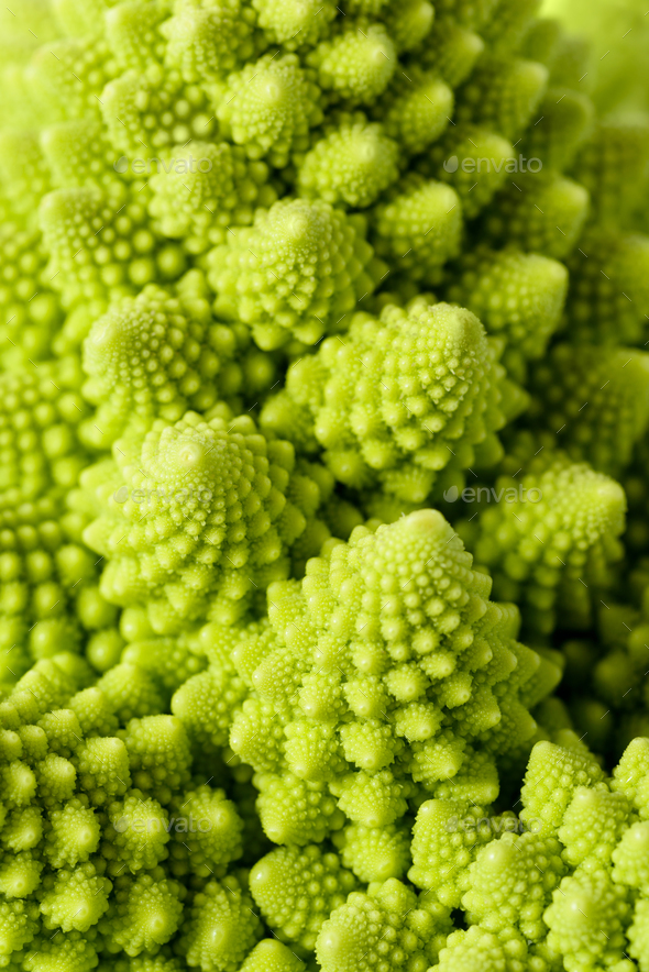 Romanesco broccoli - Stock Photo - Images