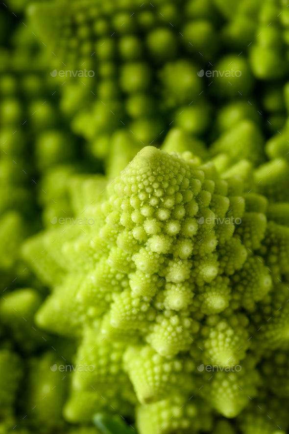 Romanesco broccoli - Stock Photo - Images