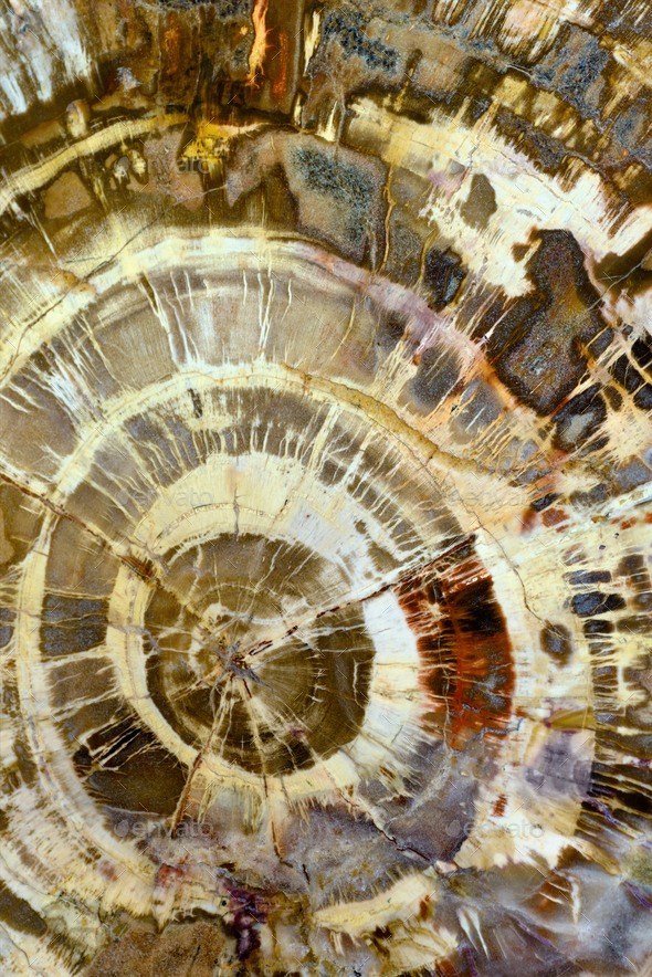 Abstract mineral texture - Stock Photo - Images