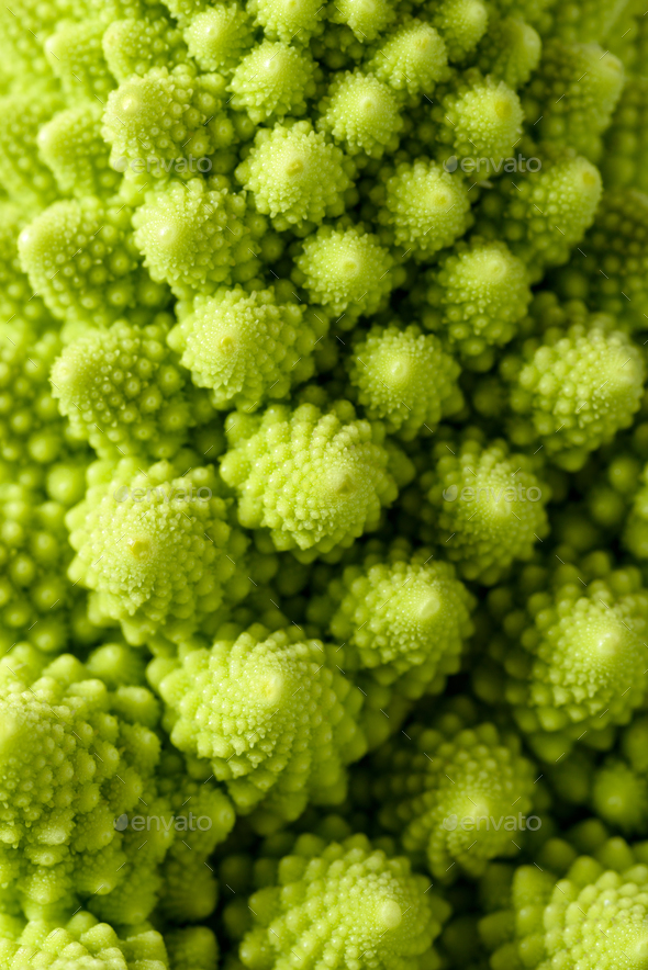 Romanesco broccoli - Stock Photo - Images