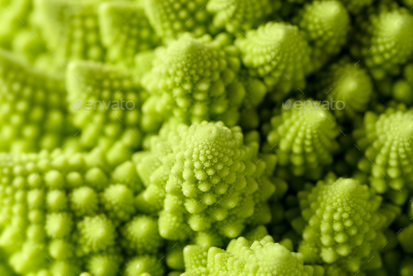 Romanesco broccoli - Stock Photo - Images