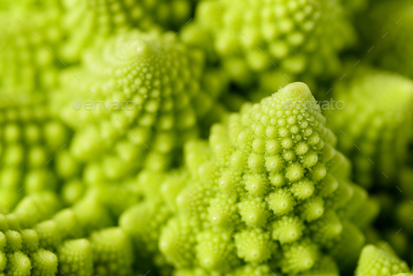 Romanesco broccoli - Stock Photo - Images