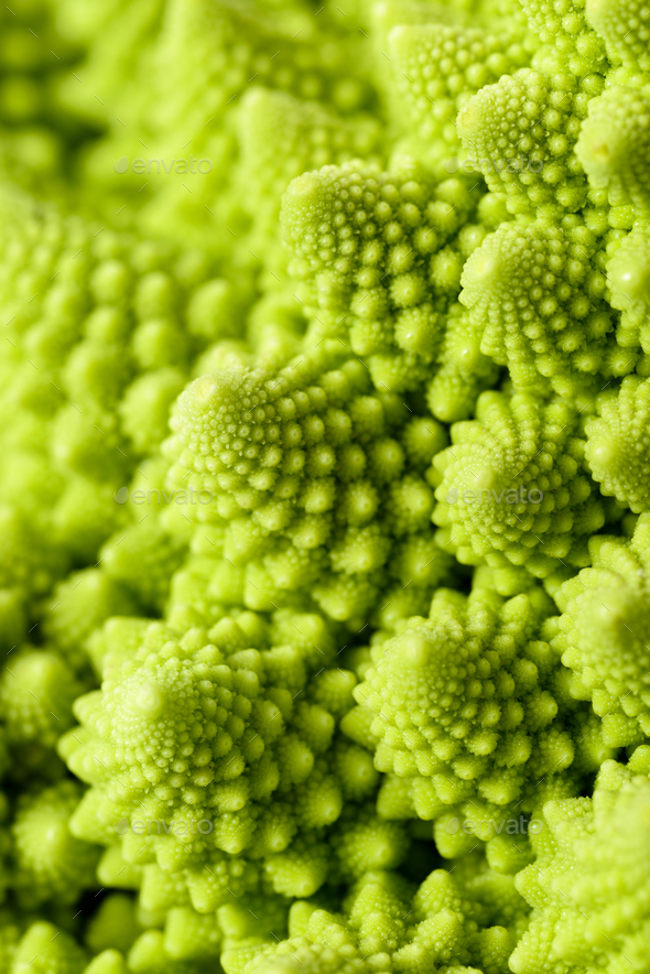 Romanesco broccoli - Stock Photo - Images