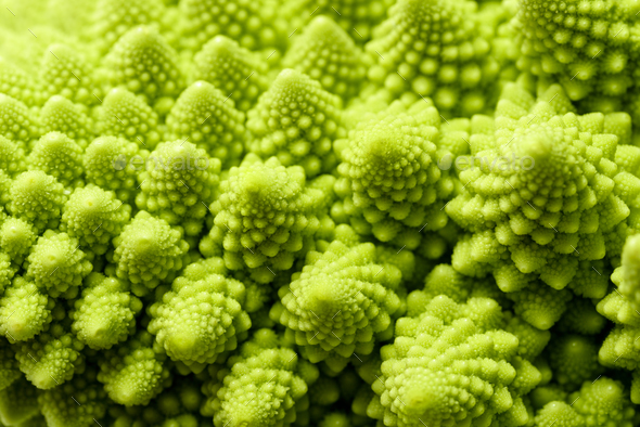 Romanesco broccoli - Stock Photo - Images