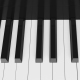 Piano Keyboard Loop - VideoHive Item for Sale
