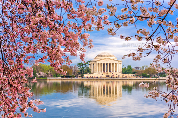 Washington DC Spring - Stock Photo - Images