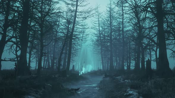 Loop Night Scary Forest with Flying Ghosts