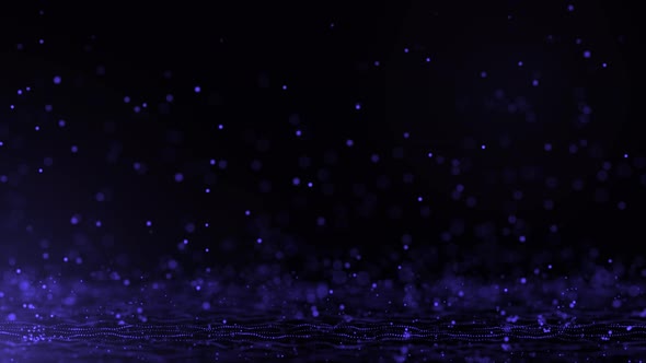 Purple Particle Bounce Animation