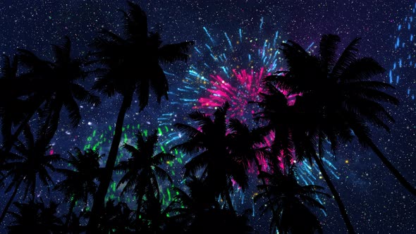 View On Palm 5 And Night Sky With Fireworks