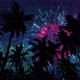 View On Palm 5 And Night Sky With Fireworks - VideoHive Item for Sale