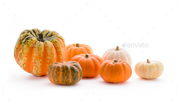 Pumpkins - Stock Photo - Images