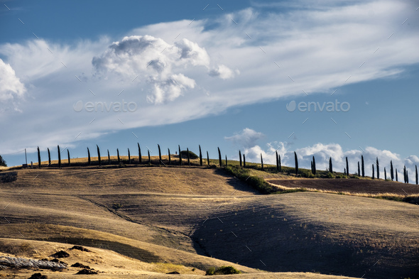 Summer landscape near Asciano - Stock Photo - Images