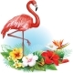 Arrangement From Tropical Flowers and Flamingo, Vectors | GraphicRiver