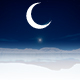 ArcticLune